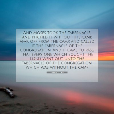 Picture 07 - Exodus 33:7 KJV - And Moses took the tabernacle, and pitched it - Bible Verse Picture