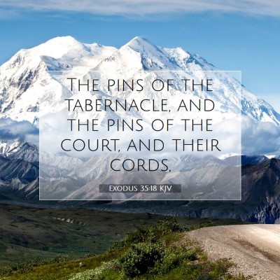 Picture 07 - Exodus 35:18 KJV - The pins of the tabernacle, and the pins of the - Bible Verse Picture