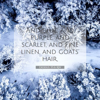 Picture 07 - Exodus 35:6 KJV - And blue, and purple, and scarlet, and fine - Bible Verse Picture