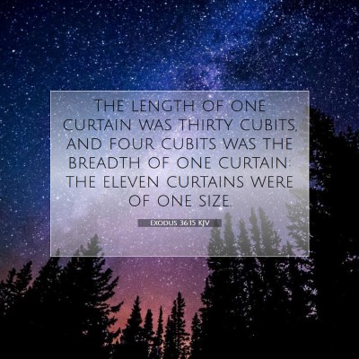 Picture 07 - Exodus 36:15 KJV - The length of one curtain was thirty cubits, and - Bible Verse Picture