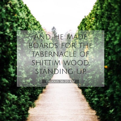 Picture 07 - Exodus 36:20 KJV - And he made boards for the tabernacle of shittim - Bible Verse Picture