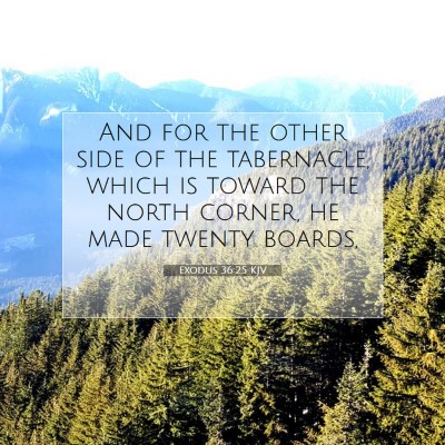 Picture 07 - Exodus 36:25 KJV - And for the other side of the tabernacle, which - Bible Verse Picture