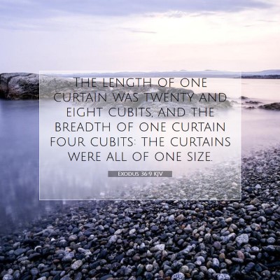 Picture 07 - Exodus 36:9 KJV - The length of one curtain was twenty and eight - Bible Verse Picture
