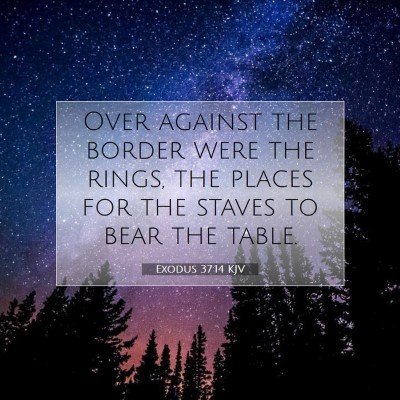 Picture 07 - Exodus 37:14 KJV - Over against the border were the rings, the - Bible Verse Picture
