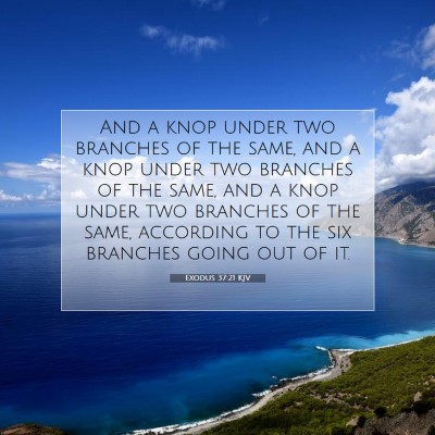 Picture 07 - Exodus 37:21 KJV - And a knop under two branches of the same, and a - Bible Verse Picture