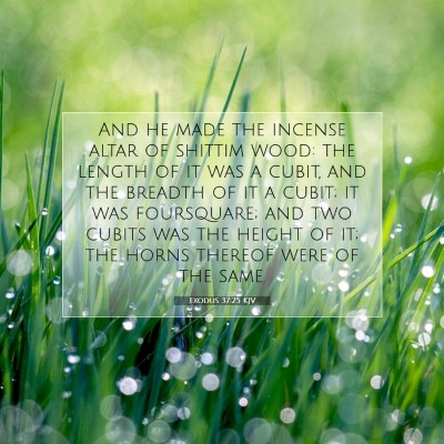 Picture 07 - Exodus 37:25 KJV - And he made the incense altar of shittim wood: - Bible Verse Picture