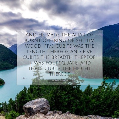 Picture 07 - Exodus 38:1 KJV - And he made the altar of burnt offering of - Bible Verse Picture