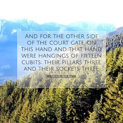 Picture 07 - Exodus 38:15 KJV - And for the other side of the court gate, on this - Bible Verse Picture