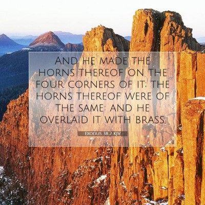 Picture 07 - Exodus 38:2 KJV - And he made the horns thereof on the four corners - Bible Verse Picture