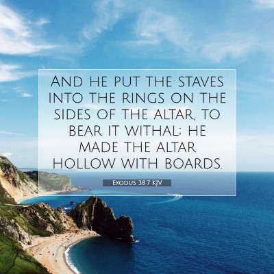 Picture 07 - Exodus 38:7 KJV - And he put the staves into the rings on the sides - Bible Verse Picture