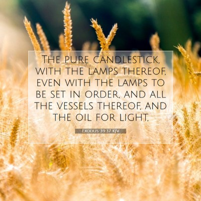 Picture 07 - Exodus 39:37 KJV - The pure candlestick, with the lamps thereof, - Bible Verse Picture