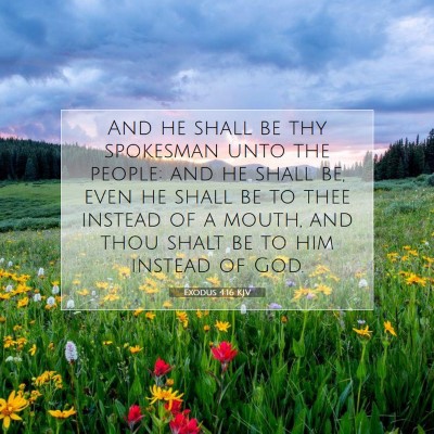 Picture 07 - Exodus 4:16 KJV - And he shall be thy spokesman unto the people: - Bible Verse Picture