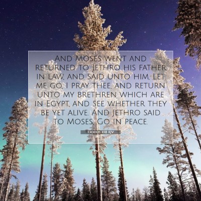 Picture 07 - Exodus 4:18 KJV - And Moses went and returned to Jethro his father - Bible Verse Picture