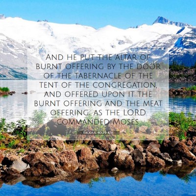 Picture 07 - Exodus 40:29 KJV - And he put the altar of burnt offering by the - Bible Verse Picture