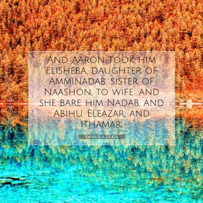Picture 07 - Exodus 6:23 KJV - And Aaron took him Elisheba, daughter of - Bible Verse Picture
