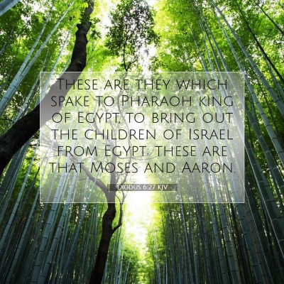 Picture 07 - Exodus 6:27 KJV - These are they which spake to Pharaoh king of - Bible Verse Picture