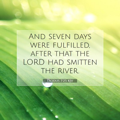 Picture 07 - Exodus 7:25 KJV - And seven days were fulfilled, after that the - Bible Verse Picture
