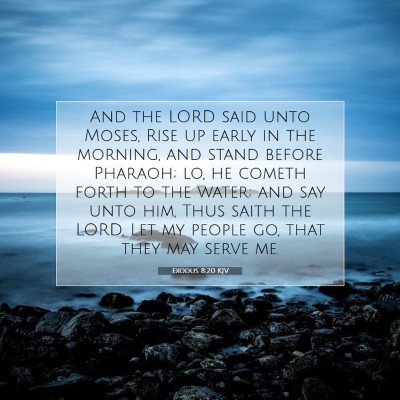 Picture 07 - Exodus 8:20 KJV - And the LORD said unto Moses, Rise up early in - Bible Verse Picture