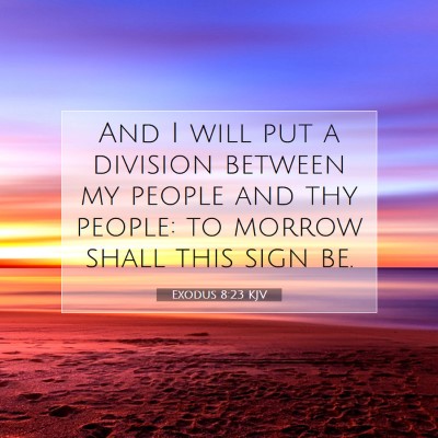 Picture 07 - Exodus 8:23 KJV - And I will put a division between my people and - Bible Verse Picture