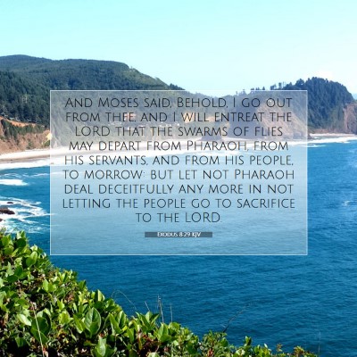 Picture 07 - Exodus 8:29 KJV - And Moses said, Behold, I go out from thee, and I - Bible Verse Picture
