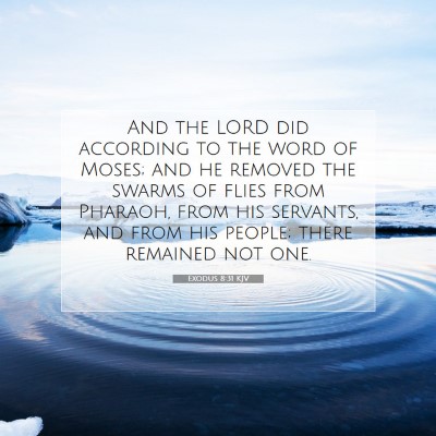 Picture 07 - Exodus 8:31 KJV - And the LORD did according to the word of Moses; - Bible Verse Picture
