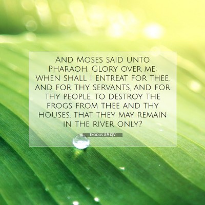 Picture 07 - Exodus 8:9 KJV - And Moses said unto Pharaoh, Glory over me: when - Bible Verse Picture