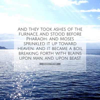 Picture 07 - Exodus 9:10 KJV - And they took ashes of the furnace, and stood - Bible Verse Picture