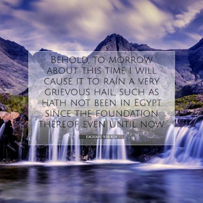 Picture 07 - Exodus 9:18 KJV - Behold, to morrow about this time I will cause it - Bible Verse Picture