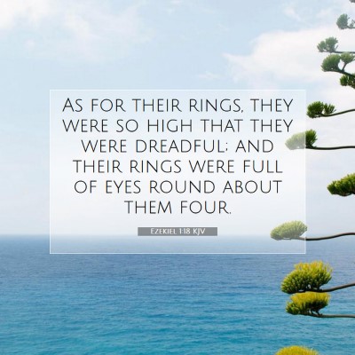 Picture 07 - Ezekiel 1:18 KJV - As for their rings, they were so high that they - Bible Verse Picture