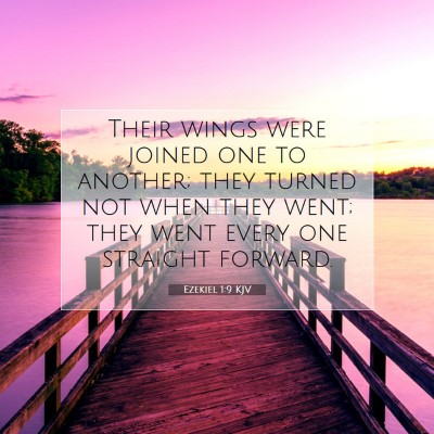 Picture 07 - Ezekiel 1:9 KJV - Their wings were joined one to another; they - Bible Verse Picture