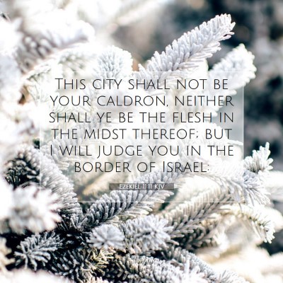 Picture 07 - Ezekiel 11:11 KJV - This city shall not be your caldron, neither - Bible Verse Picture