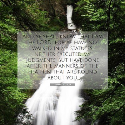 Picture 07 - Ezekiel 11:12 KJV - And ye shall know that I am the LORD: for ye have - Bible Verse Picture