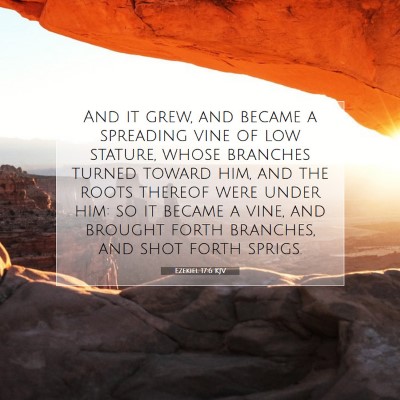 Picture 07 - Ezekiel 17:6 KJV - And it grew, and became a spreading vine of low - Bible Verse Picture