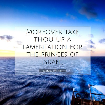 Picture 07 - Ezekiel 19:1 KJV - Moreover take thou up a lamentation for the - Bible Verse Picture