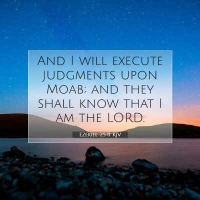 Picture 07 - Ezekiel 25:11 KJV - And I will execute judgments upon Moab; and they - Bible Verse Picture