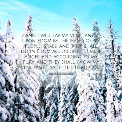 Picture 07 - Ezekiel 25:14 KJV - And I will lay my vengeance upon Edom by the hand - Bible Verse Picture