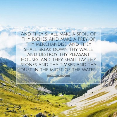 Picture 07 - Ezekiel 26:12 KJV - And they shall make a spoil of thy riches, and - Bible Verse Picture