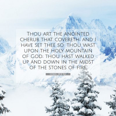 Picture 07 - Ezekiel 28:14 KJV - Thou art the anointed cherub that covereth; and I - Bible Verse Picture