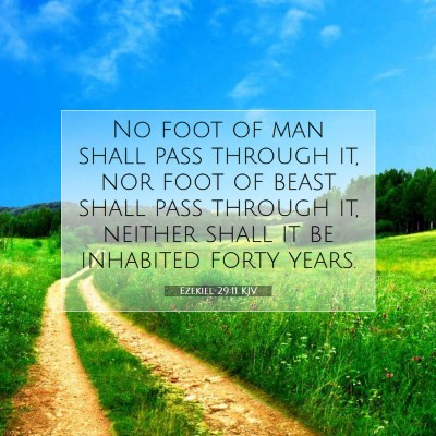Picture 07 - Ezekiel 29:11 KJV - No foot of man shall pass through it, nor foot of - Bible Verse Picture