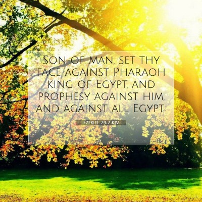 Picture 07 - Ezekiel 29:2 KJV - Son of man, set thy face against Pharaoh king of - Bible Verse Picture