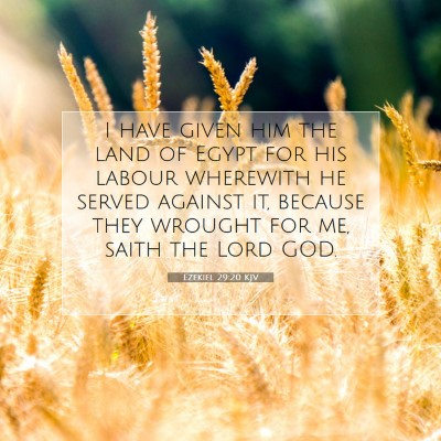 Picture 07 - Ezekiel 29:20 KJV - I have given him the land of Egypt for his labour - Bible Verse Picture