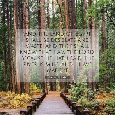 Picture 07 - Ezekiel 29:9 KJV - And the land of Egypt shall be desolate and - Bible Verse Picture