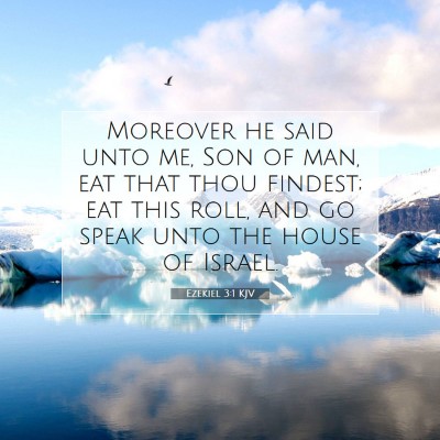 Picture 07 - Ezekiel 3:1 KJV - Moreover he said unto me, Son of man, eat that - Bible Verse Picture