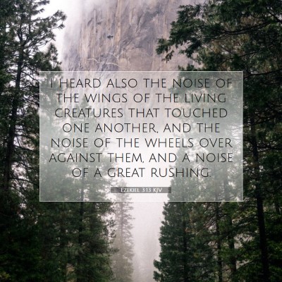 Picture 07 - Ezekiel 3:13 KJV - I heard also the noise of the wings of the living - Bible Verse Picture