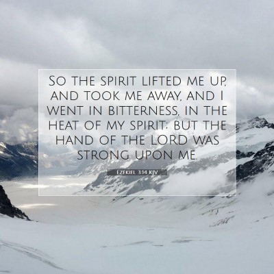 Picture 07 - Ezekiel 3:14 KJV - So the spirit lifted me up, and took me away, and - Bible Verse Picture