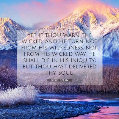Picture 07 - Ezekiel 3:19 KJV - Yet if thou warn the wicked, and he turn not from - Bible Verse Picture