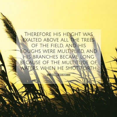 Picture 07 - Ezekiel 31:5 KJV - Therefore his height was exalted above all the - Bible Verse Picture