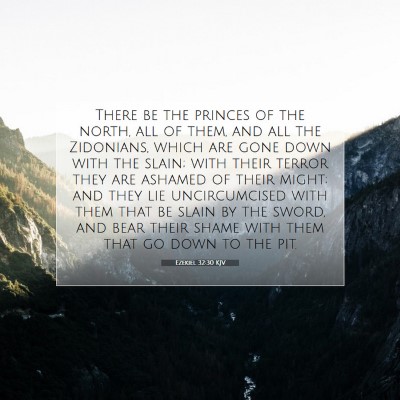 Picture 07 - Ezekiel 32:30 KJV - There be the princes of the north, all of them, - Bible Verse Picture