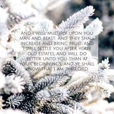 Picture 07 - Ezekiel 36:11 KJV - And I will multiply upon you man and beast; and - Bible Verse Picture