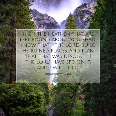 Picture 07 - Ezekiel 36:36 KJV - Then the heathen that are left round about you - Bible Verse Picture